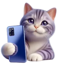 cat selfie | what kind of cat